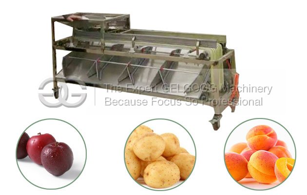 automatic fruit sorting machine