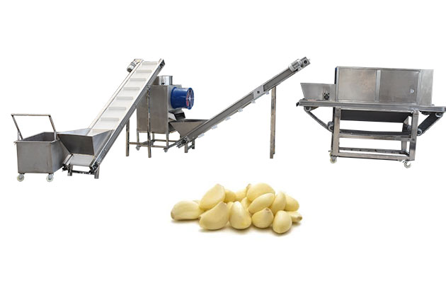 industrial garlic peeling machine design