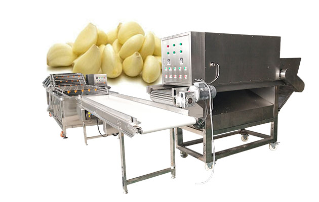 garlic processing plant