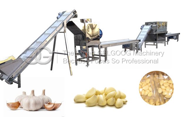 garlic process plant whole line