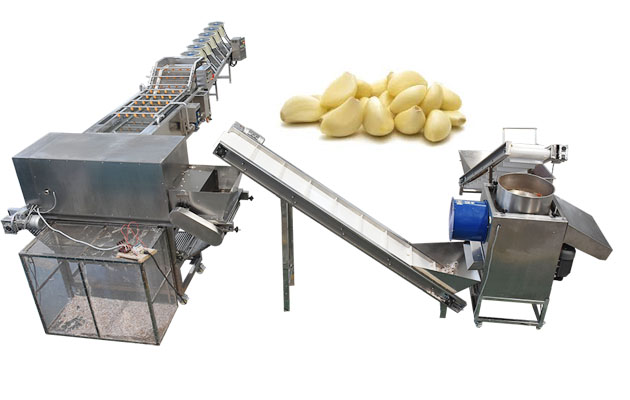 Industrial Garlic Peeling Machine Production Line Fully Automatic