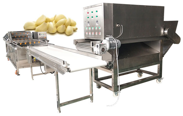 Industrial Garlic Peeling Machine Production Line Fully Automatic