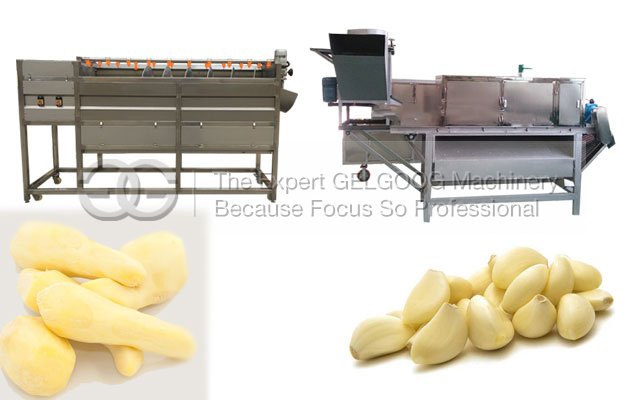 Ginger and garlic Peeling Machine PDF Video Download