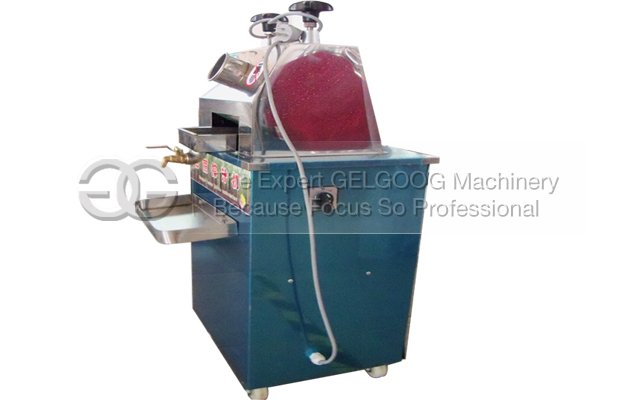 Vertical Electric Sugarcane Juice Machine