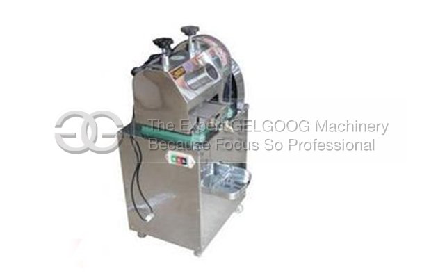 Vertical Electric Sugarcane Juice Machine