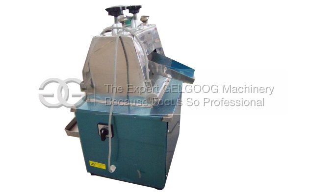 Vertical Electric Sugarcane Juice Machine