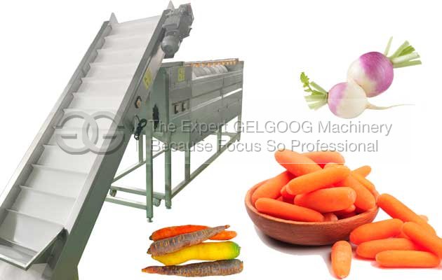 carrot washing and polishing machine