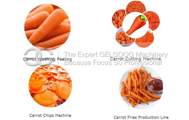 carrot process machinery