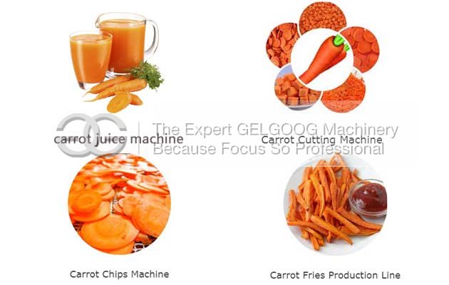 carrot process equipment