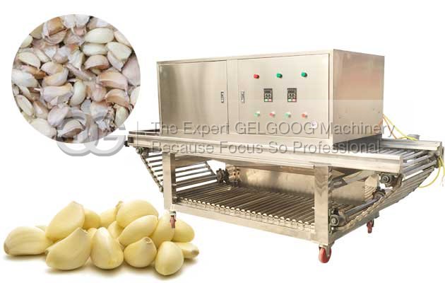 low price garlic peeling machine