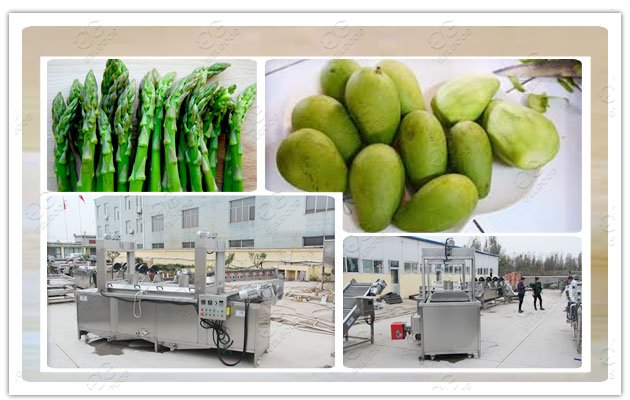 Fruit Mango Blanching Sterilizer Machine 