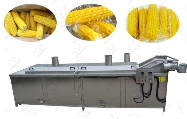 Sweet Corn Cob Blanching Machine 