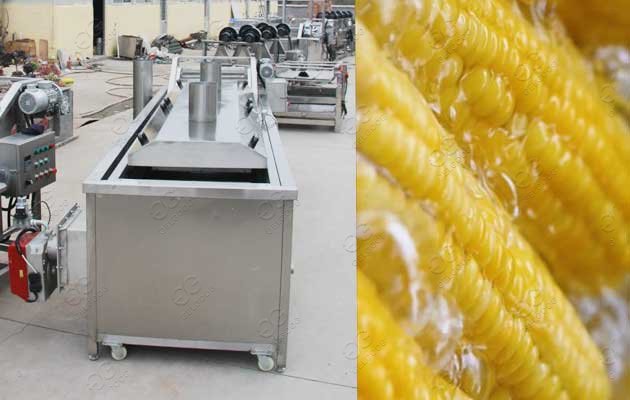 Sweet Corn Cob Blanching Machine 