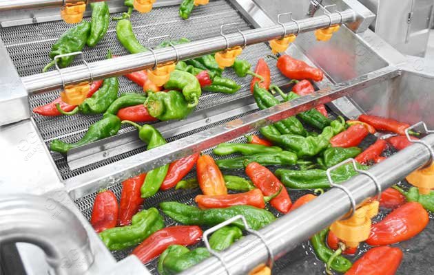 Pepper Washing Line/Chili Washing Drying Sorting Line