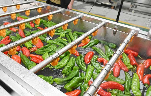 Pepper Washing Line/Chili Washing Drying Sorting Line