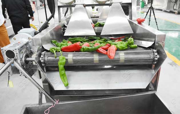 Pepper Washing Line/Chili Washing Drying Sorting Line