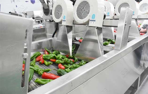 chili production line