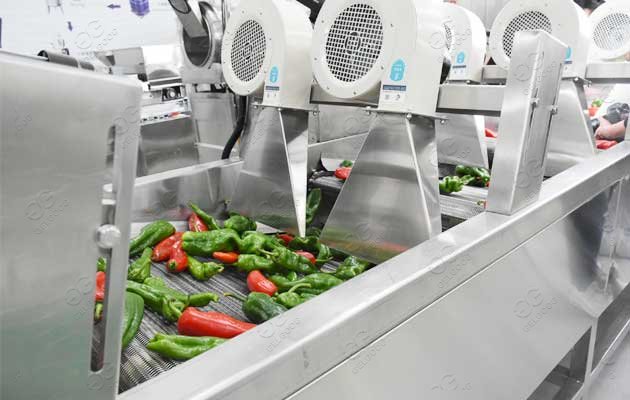 Pepper Washing Line/Chili Washing Drying Sorting Line