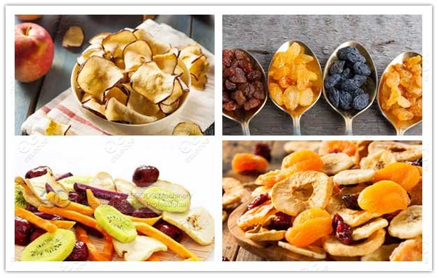 Industrial Fruit Dehydrator Machine Price