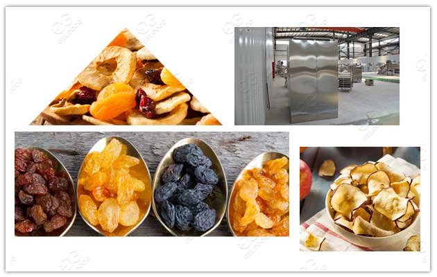 Industrial Fruit Dehydrator Machine Price