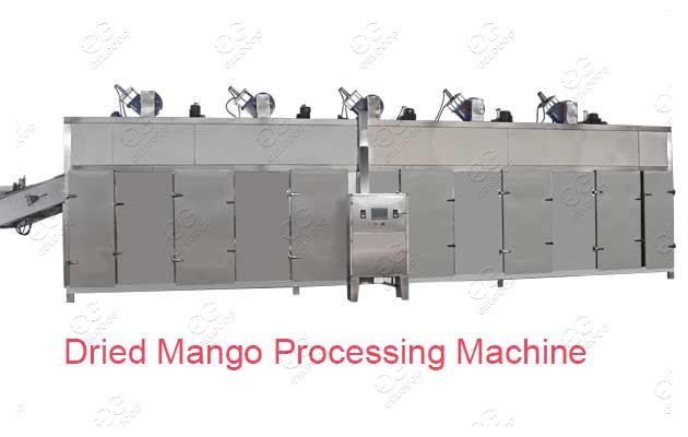 Dried Mango Processing Machine Mango Dehydrator Machine