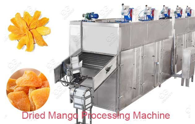 mango fruit drying machine