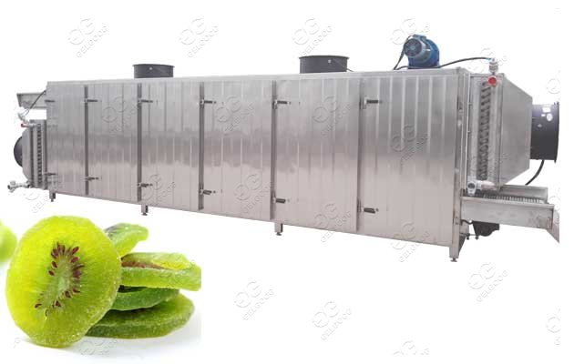 Dried Mango Processing Machine Mango Dehydrator Machine