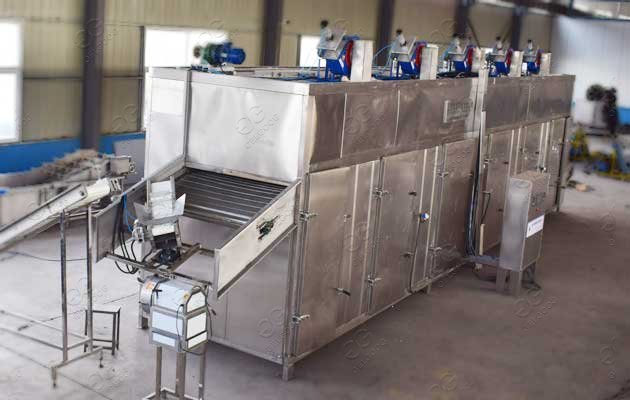 Dried Mango Processing Machine Mango Dehydrator Machine