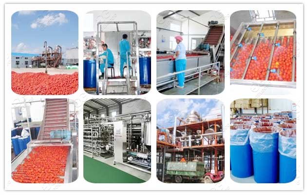 tomato paste production line for sale