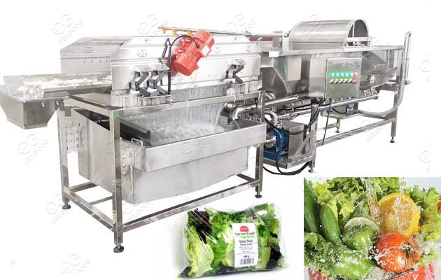 vegetable cleaning machine