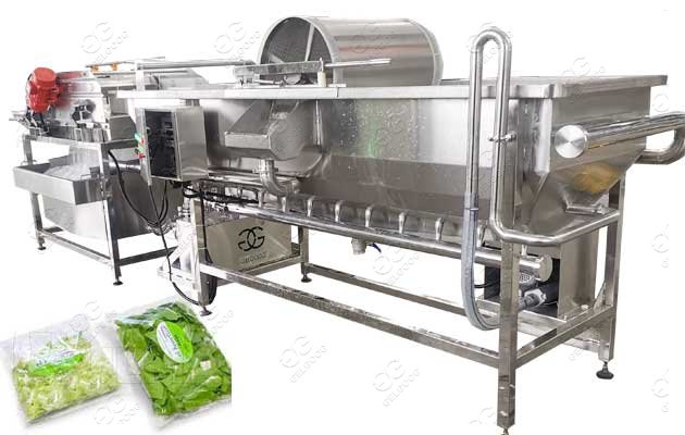 Vortex Type Vegetable Washing Machine New Type
