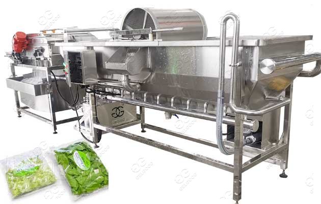 commercial vegetable washing machine