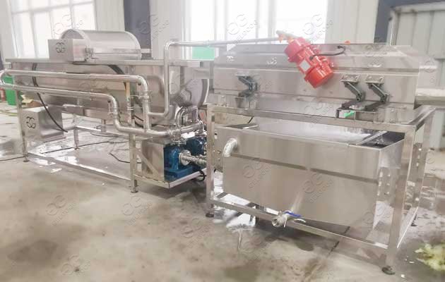 industrial vegetable fruit washing machine