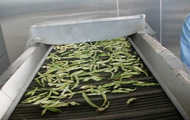 Individual Quick Freezing Machine IQF Fluid Bed Freezer