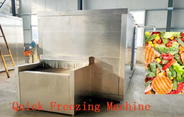 Individual Quick Freezing Machine IQF Fluid Bed Freezer