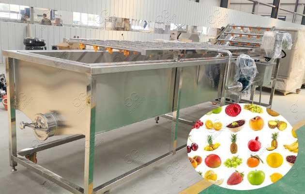 Automatic Fruit Blueberry Washing Machine Price