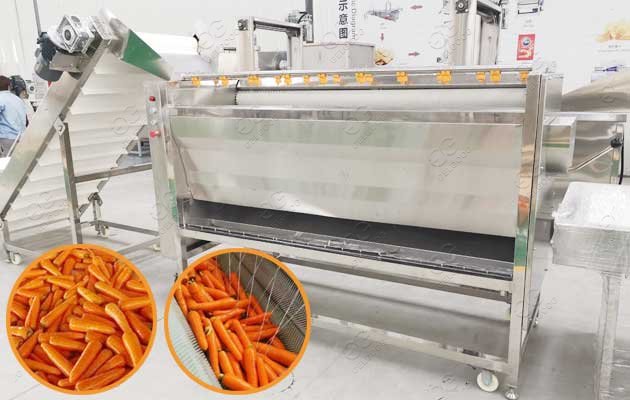 carrot washing machine design