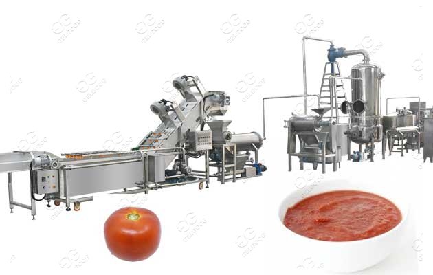 tomato puree processing plant cost