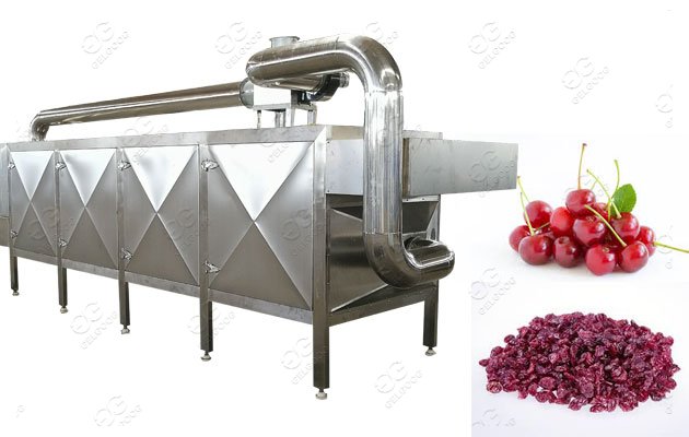 Commercial Cranberry Cherry Dehydration Machine