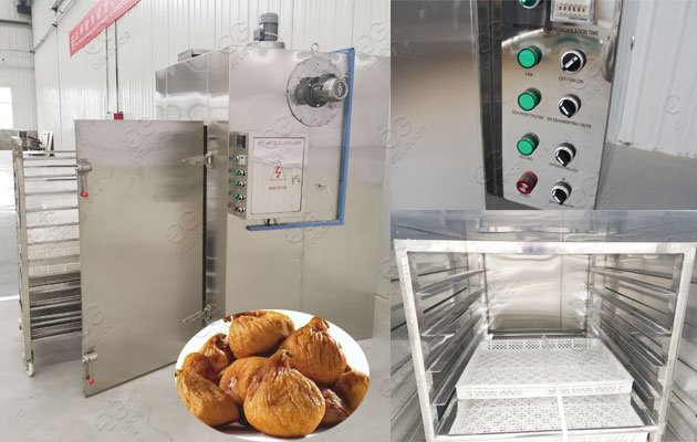 automatic fig drying machine price