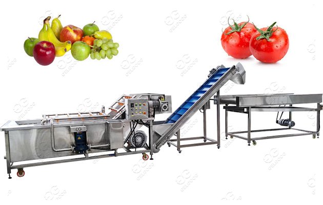 Tomato washing And Air Drying machine / Washer And Dryer machine 