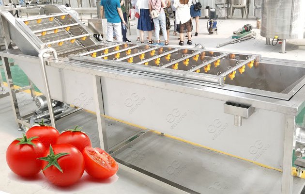 Tomato Washing And Air Drying Machine/ Washer And Dryer Machine 