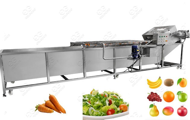 Fruit washing machine Manufacturer