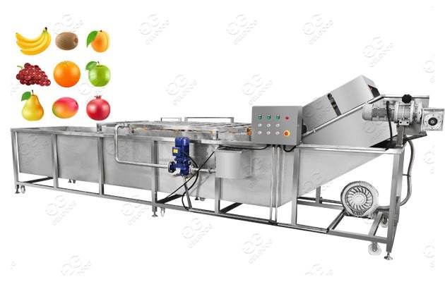 Fruit Washing Machine Manufacturer