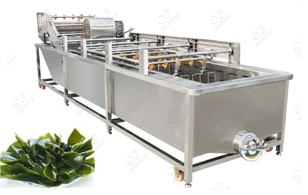 Fruit Washing Machine Manufacturer
