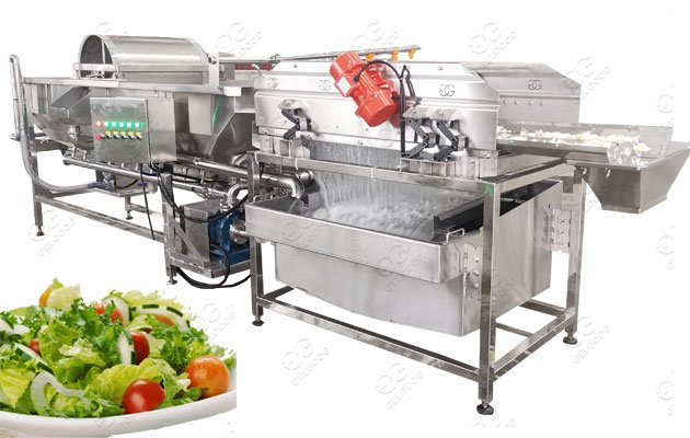Fruit Washing Machine Manufacturer