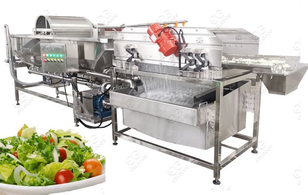 vegetable fruit washing machine