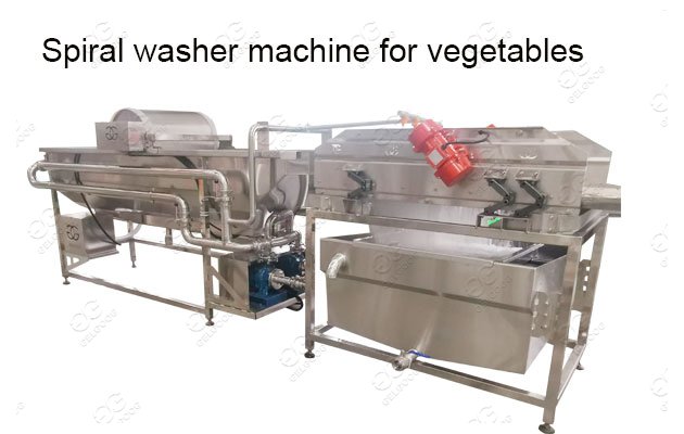 Spiral washer machine for vegetables