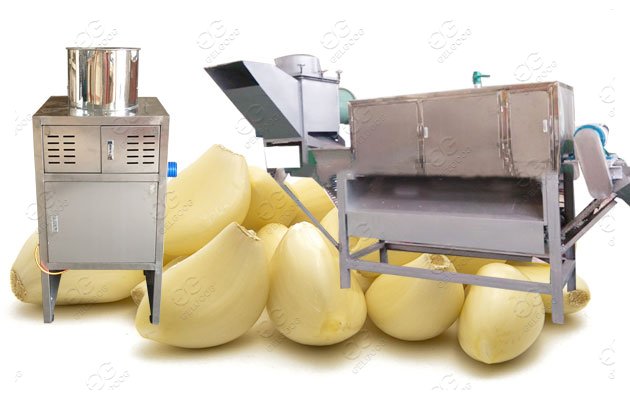 Garlic Peeling Machine Design Principle