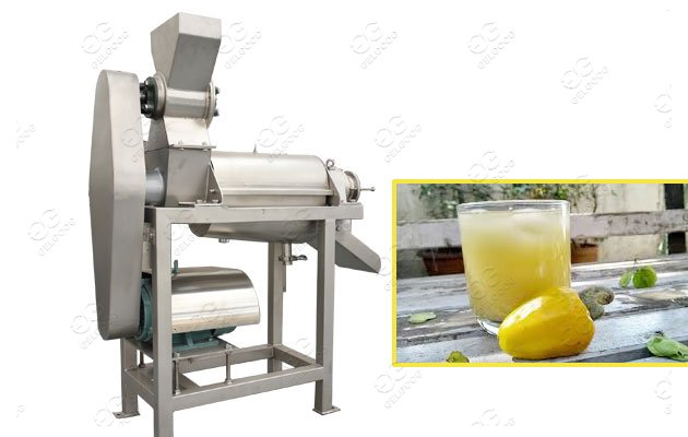 Cashew Apple Juice Extraction Processing Machine